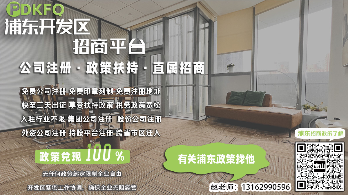 浦东公司注册资金未备案，如何进行补录？